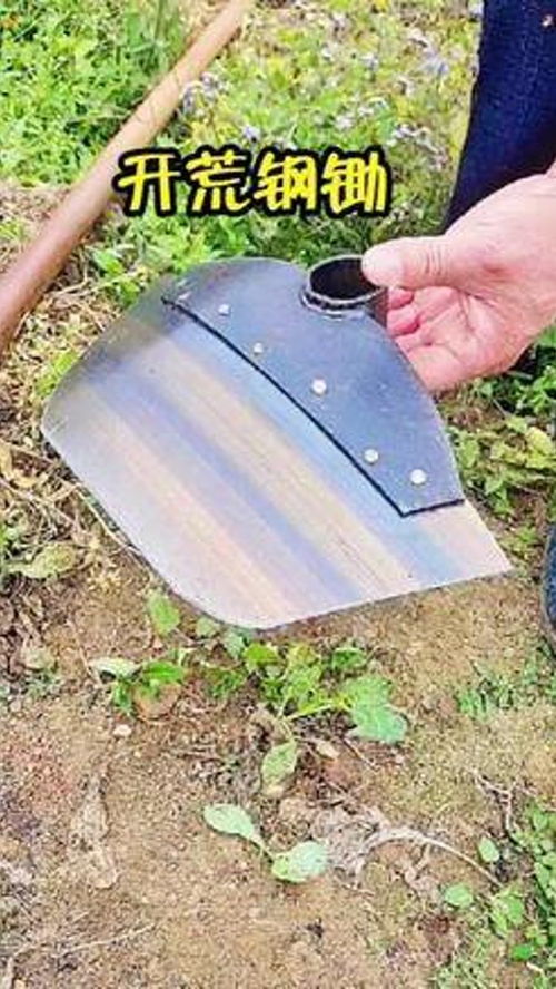 加宽加厚的农用 钢锄 ,锄草翻地都非常好用 农用工具 生活好帮手