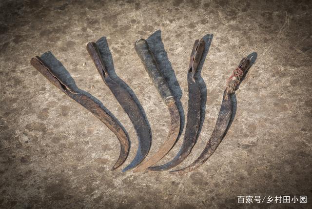 追忆农耕文化的结晶,这些传统农具你认识几种?全部认识算我输