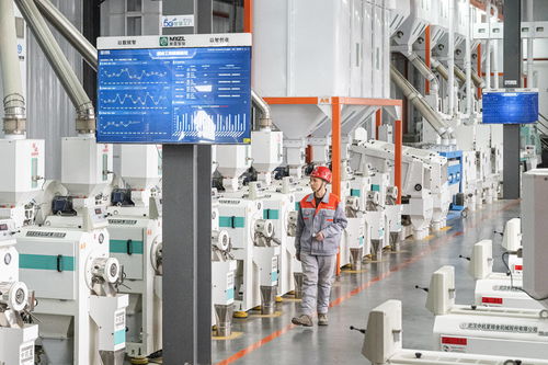 5g赋能,现代农产品加工有了 最强大脑