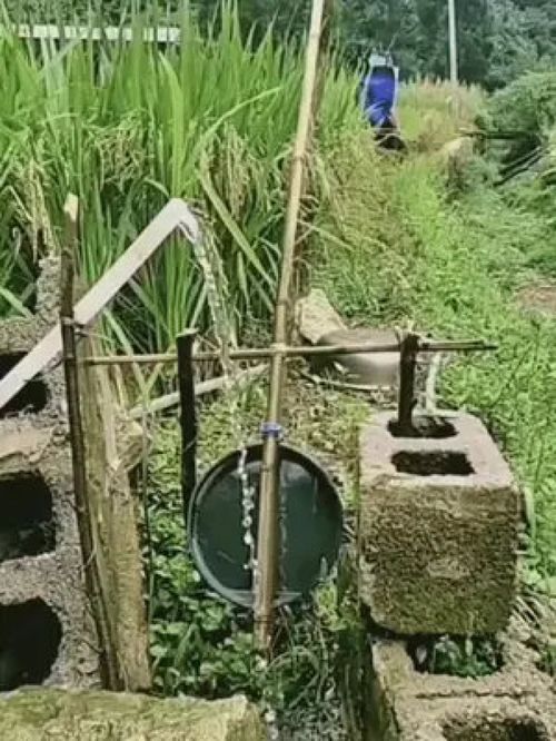 农村生活 生活随拍 田野 物品随拍 农村劳作 农村男女 工具
