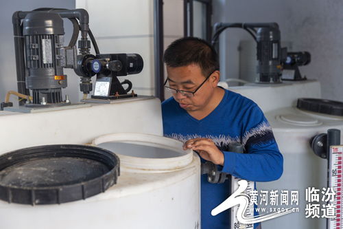 襄汾 建设污水处理厂农村环境得改善