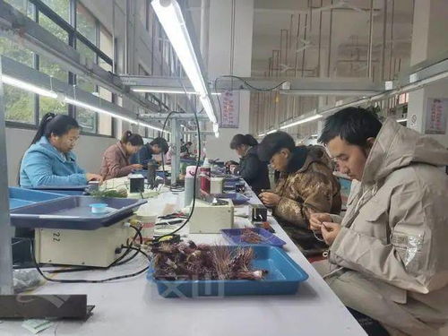家门口建起电子厂 西畴农村群众秒变 上班族