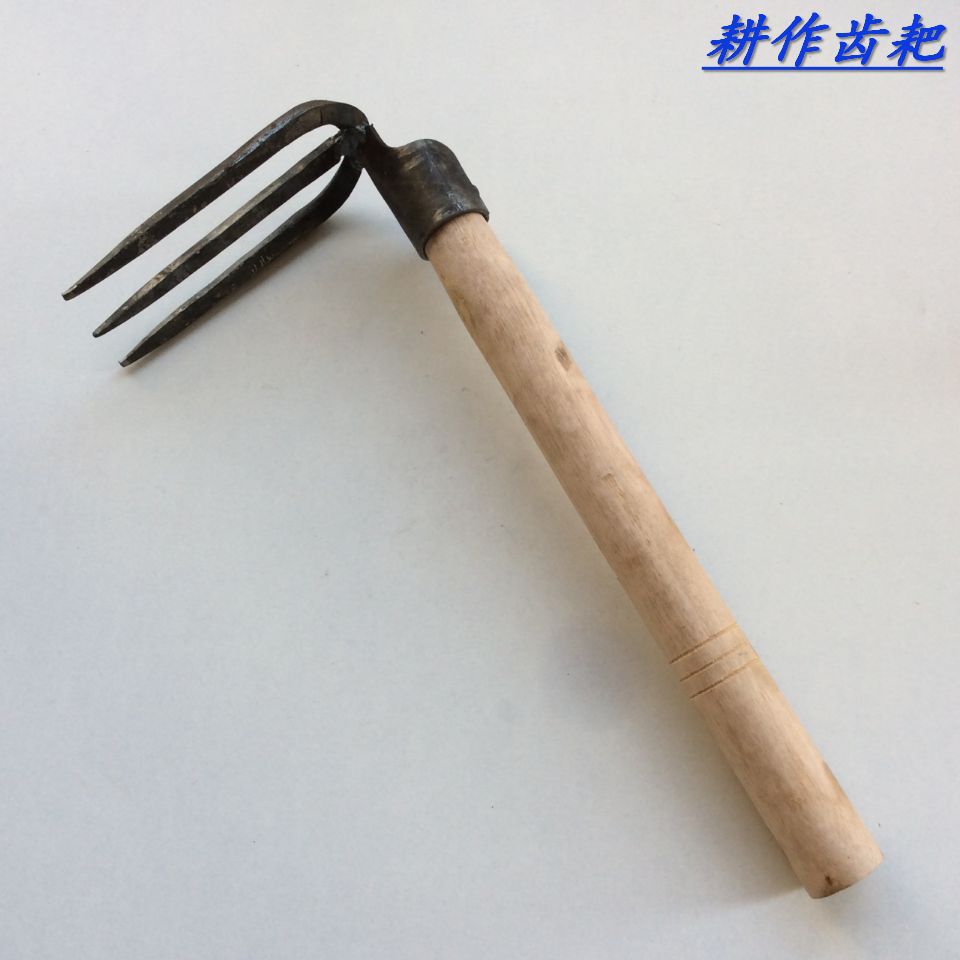 厂家批发 长木柄园林工具钉耙 高碳钢多齿搂草翻土耙绿化农.
