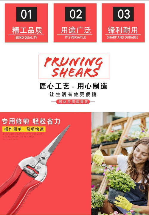 修树枝剪刀不锈钢花园艺工具农用疏果插花剪摘果神器强力剪枝套装