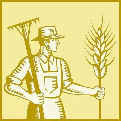 割稻子、打稻穗,做稻草人,乘巨型拖拉机…和孩子们一起守望稻田,收割希望!在风吹麦浪的农田里享原汁原味美景。(11月12日)