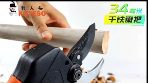 苏州速菲特农林工具招聘 boss直聘