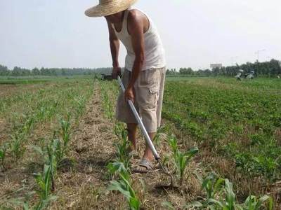 即将消失的农耕记忆 那些城里人看不到的古董农具