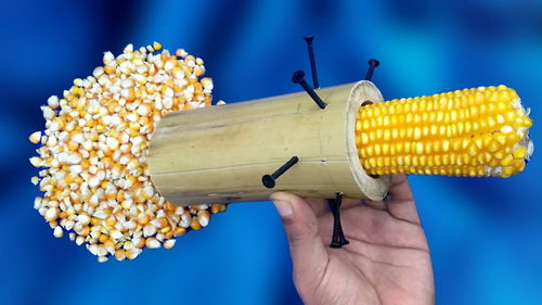 五元自制高效剥玉米神器，农村小哥创收新思路