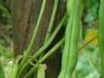 坪地农产品配送与食堂承包服务 提升深圳生活品质的专业保障